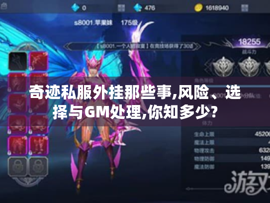 奇迹私服外挂那些事,风险、选择与GM处理,你知多少?