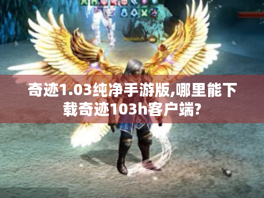 奇迹1.03纯净手游版,哪里能下载奇迹103h客户端?