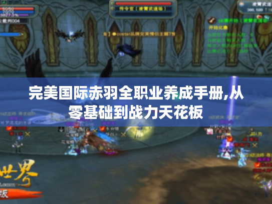 完美国际赤羽全职业养成手册,从零基础到战力天花板