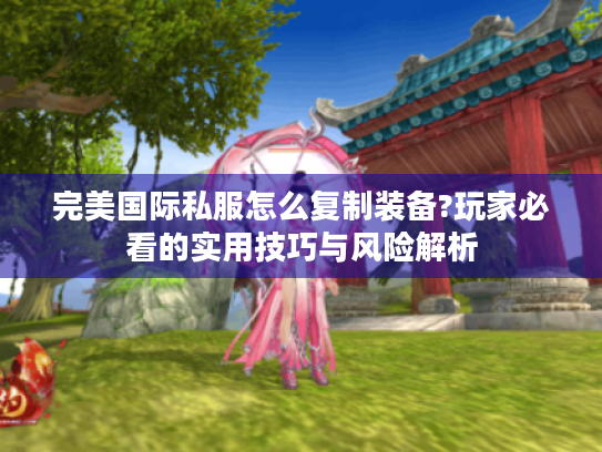 完美国际私服怎么复制装备?玩家必看的实用技巧与风险解析
