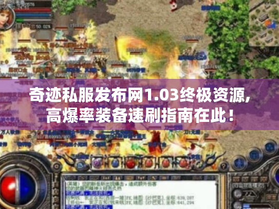 奇迹私服发布网1.03终极资源,高爆率装备速刷指南在此！