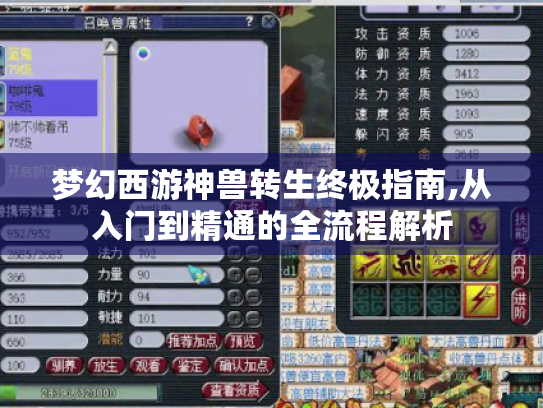 梦幻西游神兽转生终极指南,从入门到精通的全流程解析 梦幻西游神兽转生终极指南,从入门到精通的全流程解析