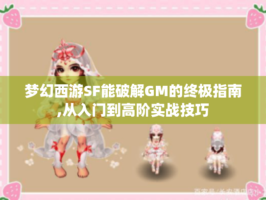 梦幻西游SF能破解GM的终极指南,从入门到高阶实战技巧
