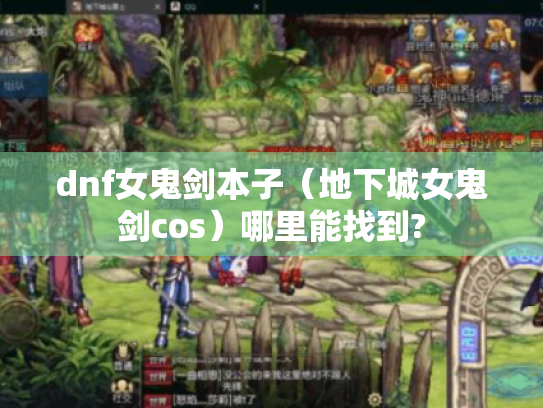 dnf女鬼剑本子（地下城女鬼剑cos）哪里能找到?