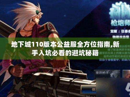 地下城110版本公益服全方位指南,新手入坑必看的避坑秘籍