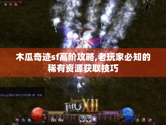 木瓜奇迹sf高阶攻略,老玩家必知的稀有资源获取技巧 木瓜奇迹sf高阶攻略,老玩家必知的稀有资源获取技巧