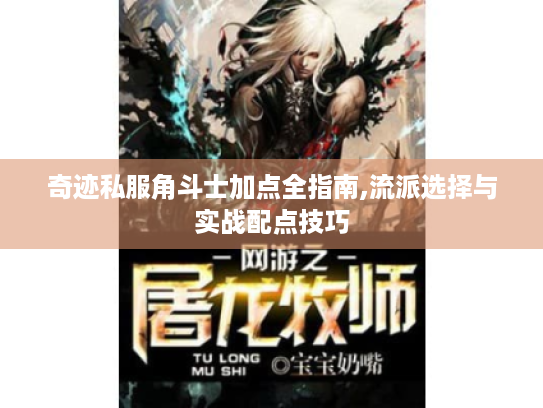 奇迹私服角斗士加点全指南,流派选择与实战配点技巧