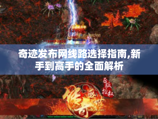 奇迹发布网线路选择指南,新手到高手的全面解析