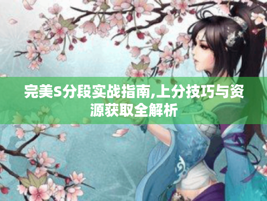 完美S分段实战指南,上分技巧与资源获取全解析
