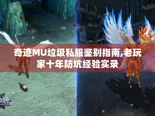 奇迹MU垃圾私服鉴别指南,老玩家十年防坑经验实录