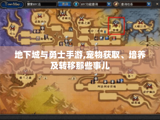 地下城与勇士手游,宠物获取、培养及转移那些事儿