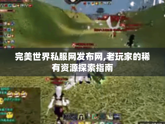 完美世界私服网发布网,老玩家的稀有资源探索指南