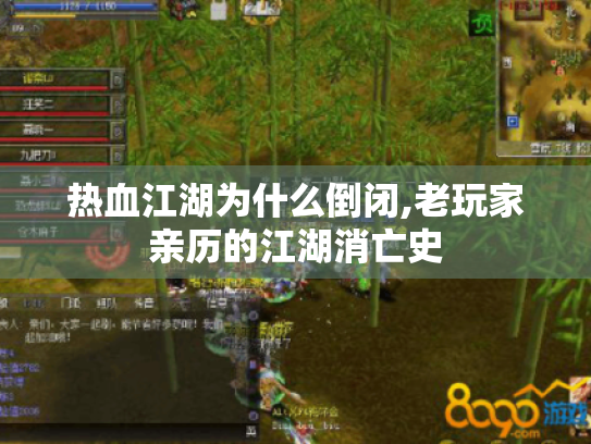 热血江湖为什么倒闭,老玩家亲历的江湖消亡史