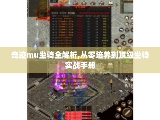 奇迹mu坐骑全解析,从零培养到顶级坐骑实战手册 奇迹mu坐骑全解析,从零培养到顶级坐骑实战手册