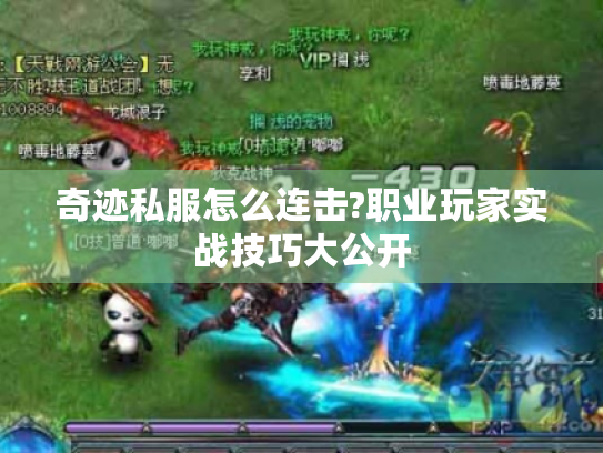 奇迹私服怎么连击?职业玩家实战技巧大公开