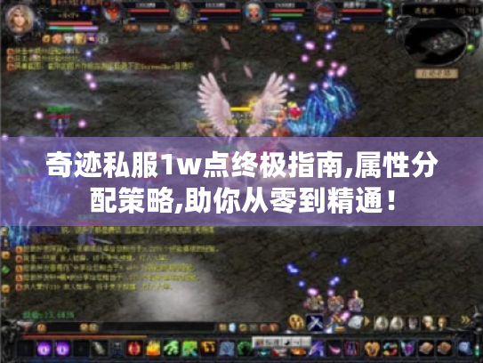 奇迹私服1w点终极指南,属性分配策略,助你从零到精通！