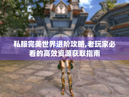 私服完美世界进阶攻略,老玩家必看的高效资源获取指南