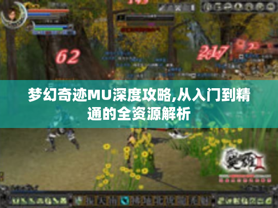 梦幻奇迹MU深度攻略,从入门到精通的全资源解析