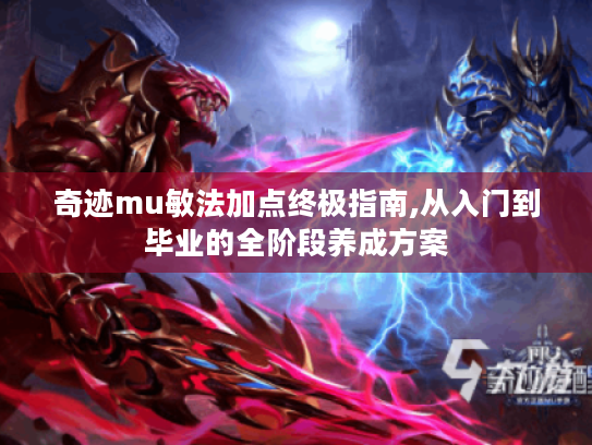 奇迹mu敏法加点终极指南,从入门到毕业的全阶段养成方案