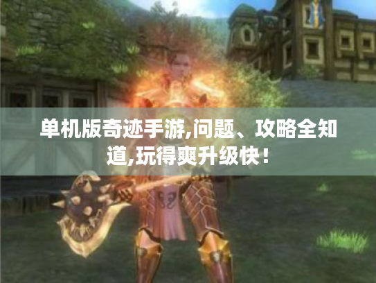 单机版奇迹手游,问题、攻略全知道,玩得爽升级快！