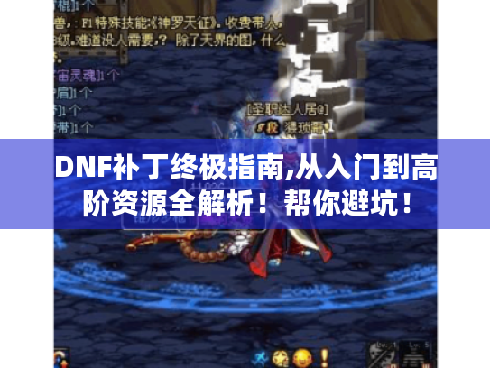 DNF补丁终极指南,从入门到高阶资源全解析！帮你避坑！