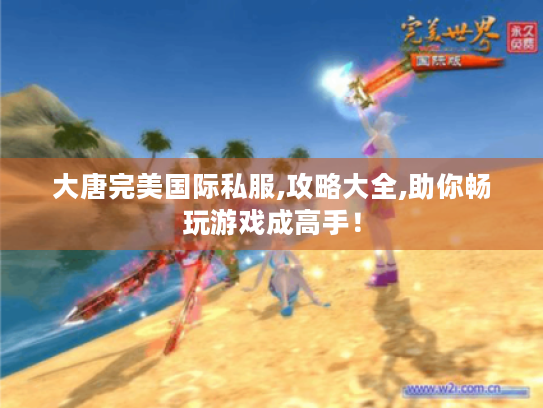 大唐完美国际私服,攻略大全,助你畅玩游戏成高手！