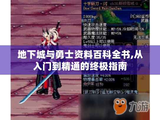 地下城与勇士资料百科全书,从入门到精通的终极指南