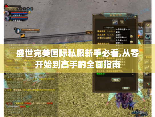 盛世完美国际私服新手必看,从零开始到高手的全面指南