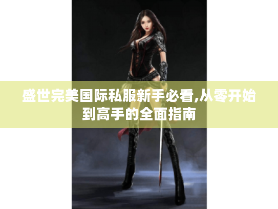 盛世完美国际私服新手必看,从零开始到高手的全面指南