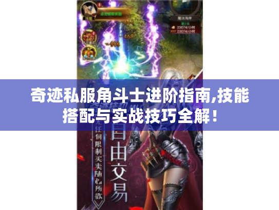 奇迹私服角斗士进阶指南,技能搭配与实战技巧全解！