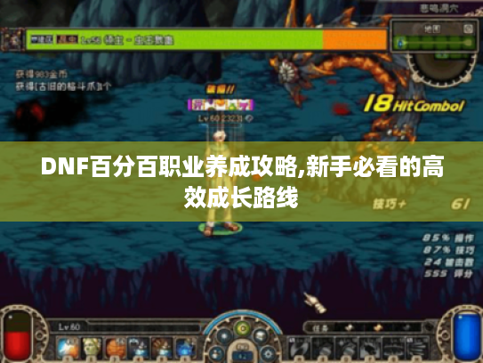 DNF百分百职业养成攻略,新手必看的高效成长路线