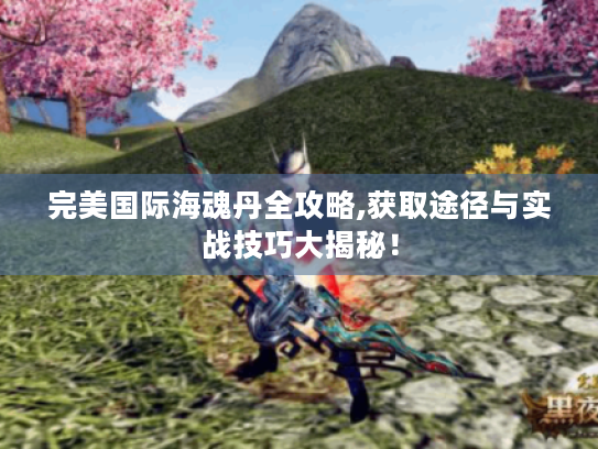 完美国际海魂丹全攻略,获取途径与实战技巧大揭秘! 完美国际海魂丹全攻略,获取途径与实战技巧大揭秘!