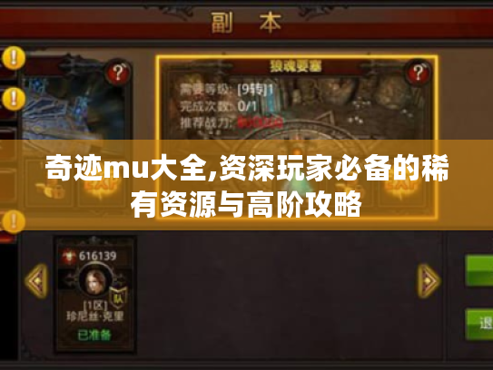 奇迹mu大全,资深玩家必备的稀有资源与高阶攻略