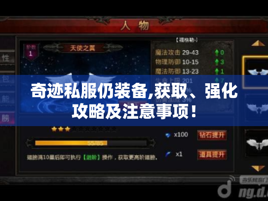 奇迹私服仍装备,获取、强化攻略及注意事项! 奇迹私服仍装备,获取、强化攻略及注意事项!