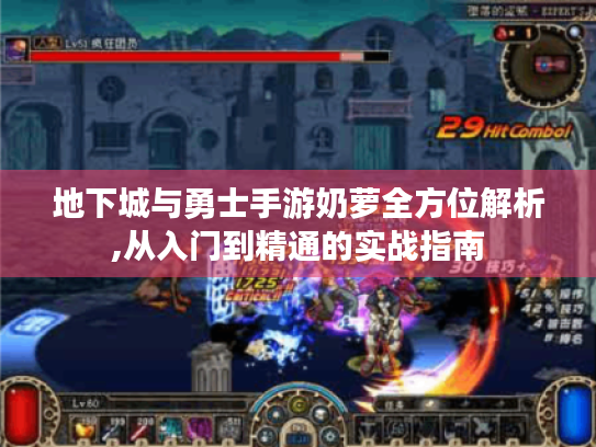 地下城与勇士手游奶萝全方位解析,从入门到精通的实战指南
