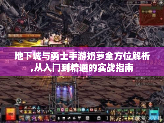 地下城与勇士手游奶萝全方位解析,从入门到精通的实战指南