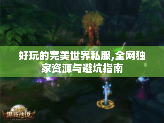 好玩的完美世界私服,全网独家资源与避坑指南