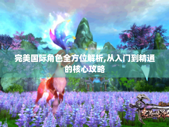 完美国际角色全方位解析,从入门到精通的核心攻略