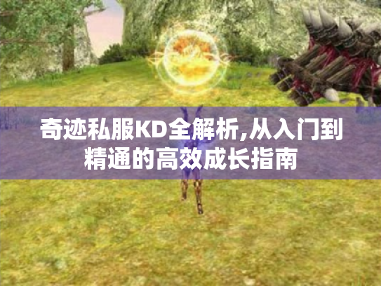 奇迹私服KD全解析,从入门到精通的高效成长指南