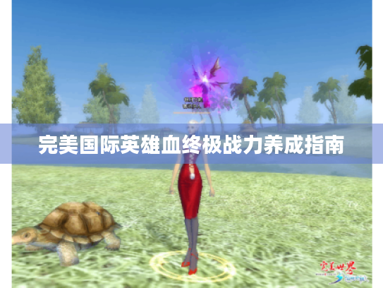 完美国际英雄血终极战力养成指南 完美国际英雄血终极战力养成指南