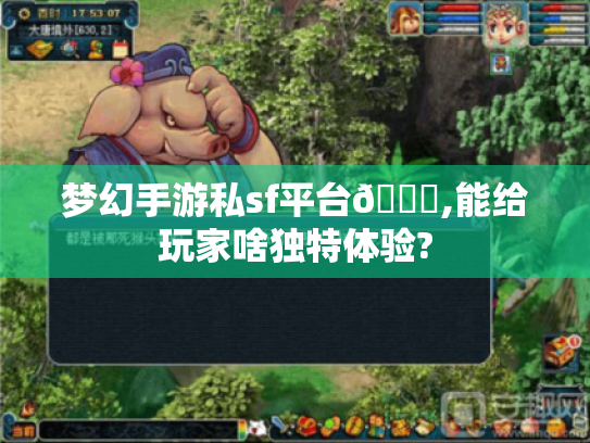 梦幻手游私sf平台😎,能给玩家啥独特体验?
