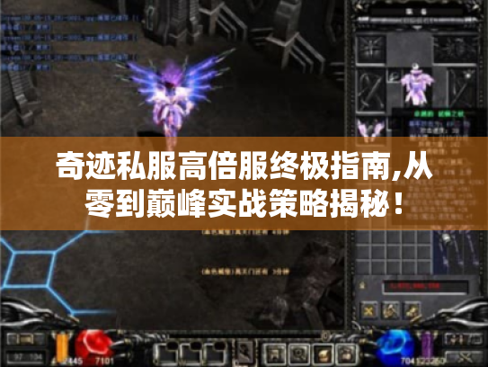 奇迹私服高倍服终极指南,从零到巅峰实战策略揭秘！