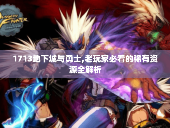 1713地下城与勇士,老玩家必看的稀有资源全解析