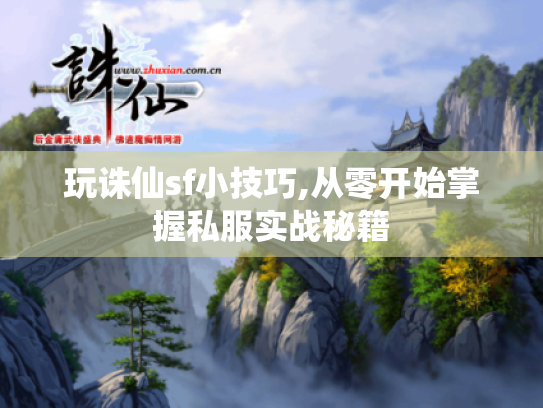 玩诛仙sf小技巧,从零开始掌握私服实战秘籍