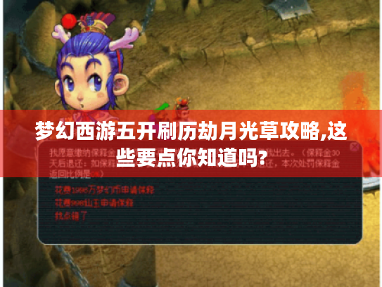 梦幻西游五开刷历劫月光草攻略,这些要点你知道吗?