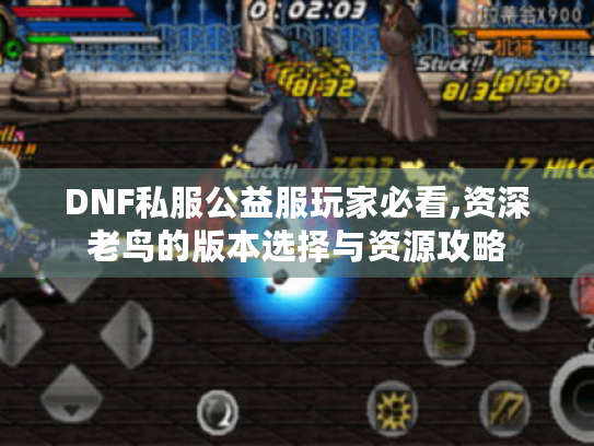 DNF私服公益服玩家必看,资深老鸟的版本选择与资源攻略