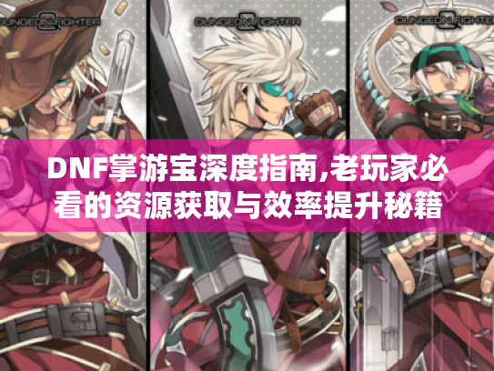 DNF掌游宝深度指南,老玩家必看的资源获取与效率提升秘籍