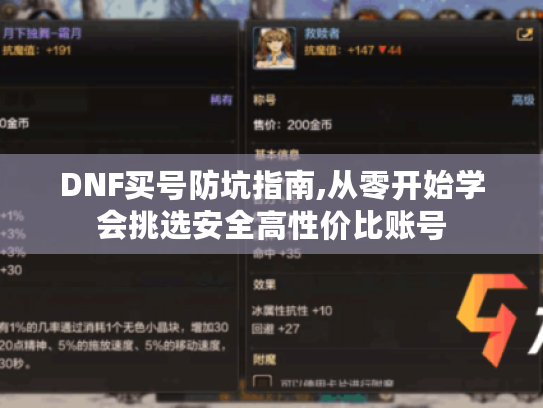 DNF买号防坑指南,从零开始学会挑选安全高性价比账号