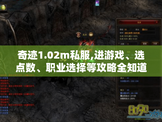 奇迹1.02m私服,进游戏、选点数、职业选择等攻略全知道！