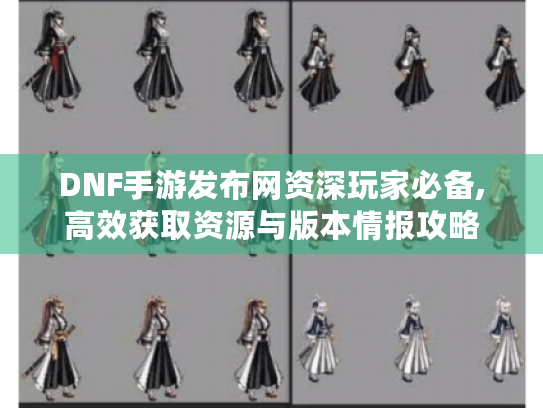 DNF手游发布网资深玩家必备,高效获取资源与版本情报攻略